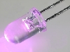 LED-5 P1560 T dioda